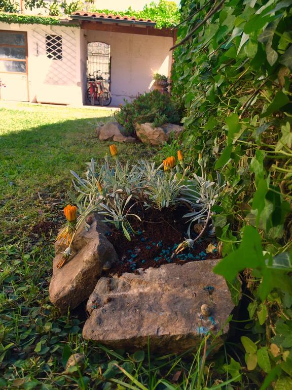 Harmony House Prestige Bed and Breakfast Πίζα Εξωτερικό φωτογραφία